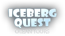 icebergquest.com