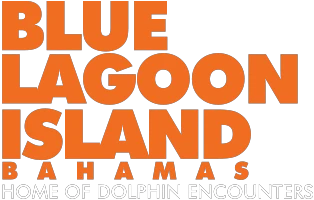 dolphinencounters.com