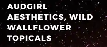 audgirlaesthetics.com