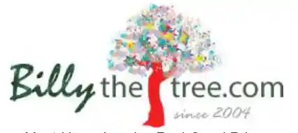 billythetree.com