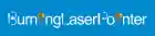 burninglaserpointer.com